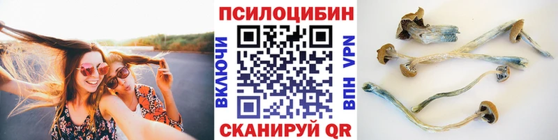 Псилоцибиновые грибы Cubensis  Среднеколымск 